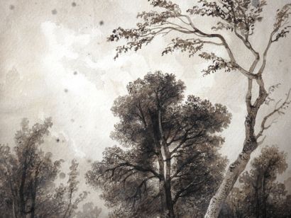 Ecole XIXeme
Etude de lion.
Crayon sur papier.
17...