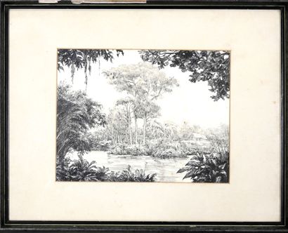 Travail des années 30
Vue de mangrove.
Lavis...