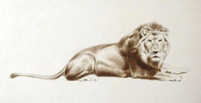 Ecole XIXeme
Etude de lion.
Crayon sur papier.
17...