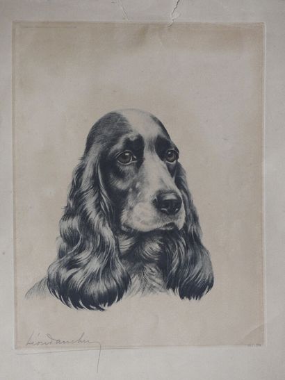 Léon DANCHIN (1887-1938) after
The Cocker...