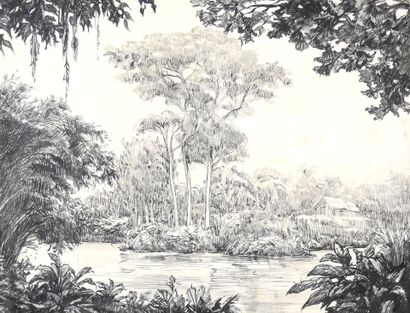 Travail des années 30
Vue de mangrove.
Lavis...