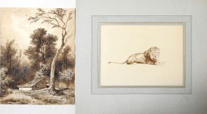 Ecole XIXeme
Etude de lion.
Crayon sur papier.
17...