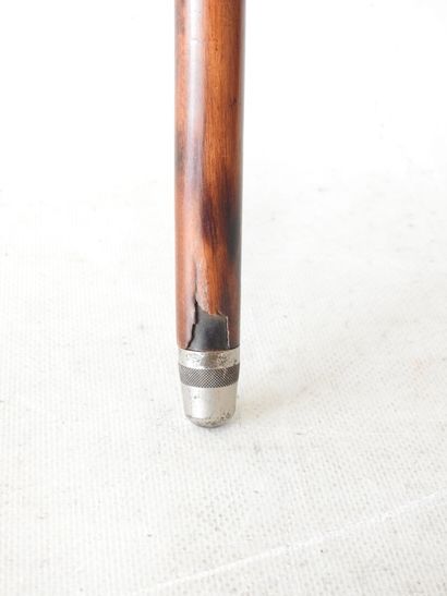 Canne fusil en placage d'acajou, gachette...