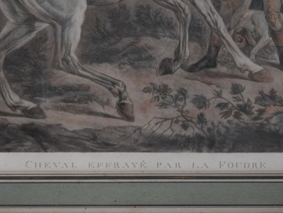 Carle VERNET (1758-1836) d'après
Cheval effrayé...