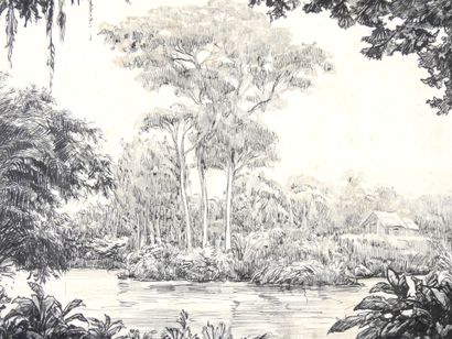 Travail des années 30
Vue de mangrove.
Lavis...