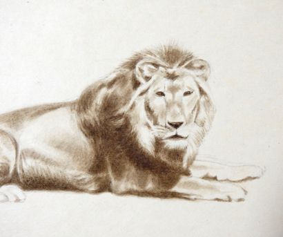 Ecole XIXeme
Etude de lion.
Crayon sur papier.
17...