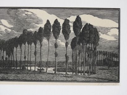 Gwendolen RAVERAT 1885-1957
Peupliers en...