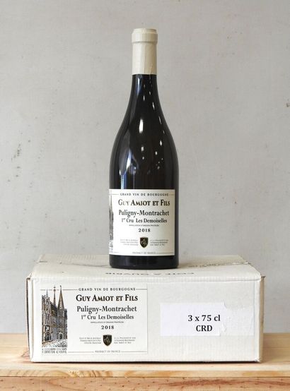 3 bottles
Domaine Guy Amiot & Fils - Les...