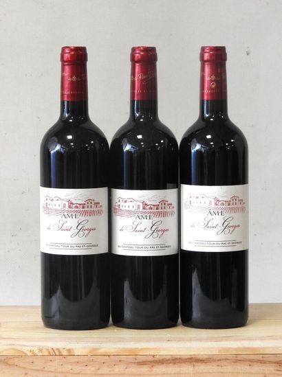 3 bottles
Château Tour du Pas St-Georges...