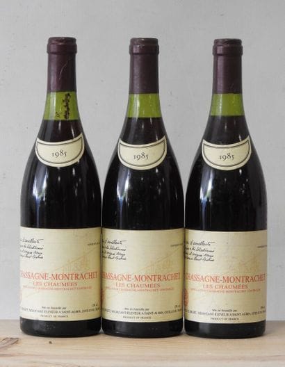 3 bottles
Domaine Raoul Clerget - Chassagne...