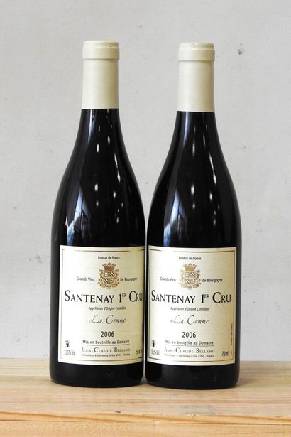 2 bottles
Domaine Jean-Claude Belland - Santenay...