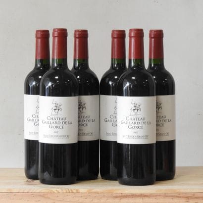 6 bottles
Château Gaillard de la Gorce -...