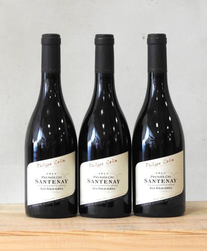 3 bottles
Domaine Philippe Colin - Santenay...