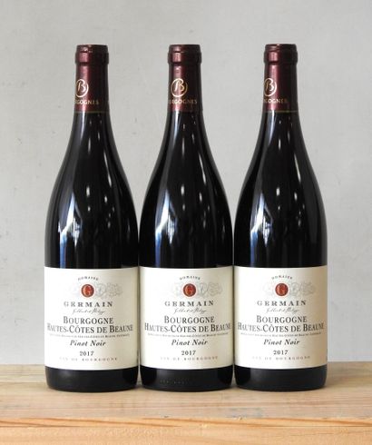 3 bottles
Domaine René Lamy - Bourgogne Hautes-Côtes...