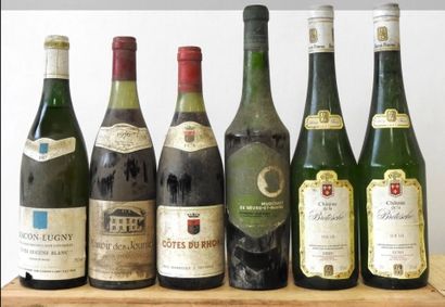 6 bottles
1 Cuvée des Aigles - Muscadet Sèvre...
