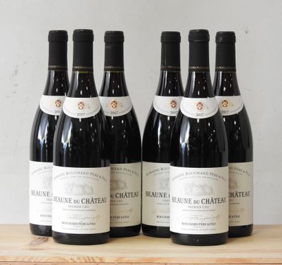 6 bottles
Domaine Bouchard Père et fils -...