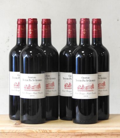 6 bottles
Château Tour du Pas St-Georges...