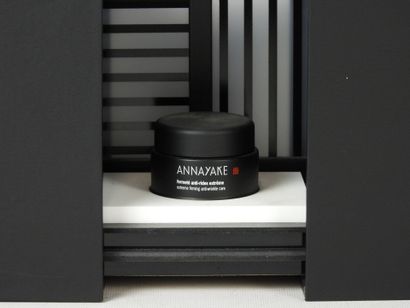 ANNAYAKE. Coffret de présentation d'un produit...