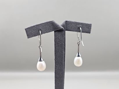 Paire de pendants d'oreille en argent 935...