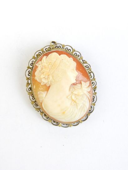 BROCHE CAMEE montée en pendentif représentant...