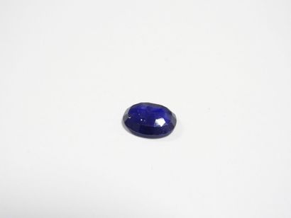 SAPHIR on leaf. 7.30 ct (treated).