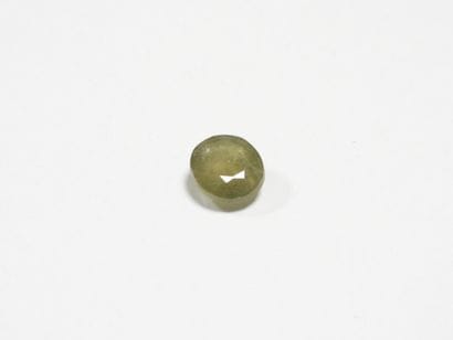 SAPHIR on leaf. 5.75 ct (treated).