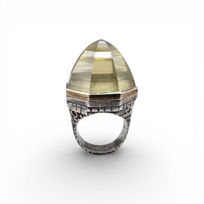 Jean BOGGIO (né en 1963).
Bague d'homme en...