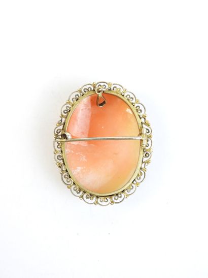 BROCHE CAMEE montée en pendentif représentant...