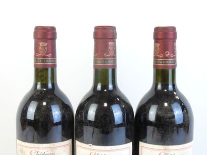 3 bouteilles CHATEAU DU DAUPHIN, Saint-Emilion,...