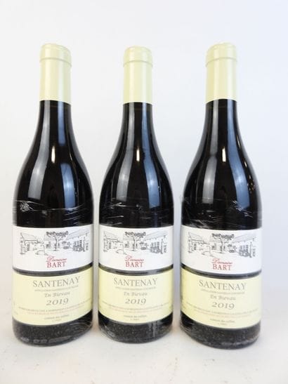 3 bouteilles SANTENAY, En Bievau, 2019, Domaine...