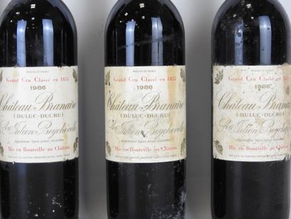 12 bouteilles : 11 bouteilles Chateau Branaire...