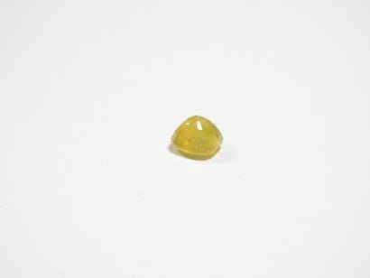 SAPHIR on leaf. 8.53 ct (treated).