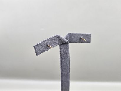 Paire de CLOUS D'OREILLE circulaires en or...
