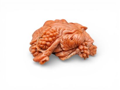 Francesco BALZANO (XXe).
Important corail...