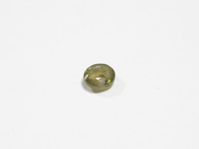 SAPHIR on leaf. 5.48 ct (treated).