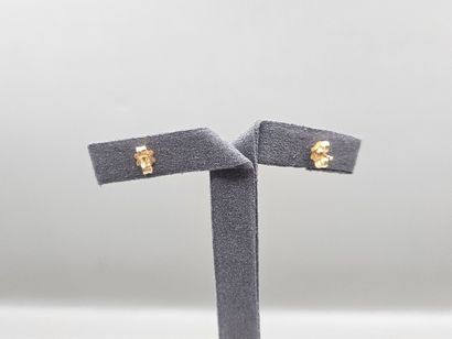 Paire de clous d'oreille en or jaune et gris...