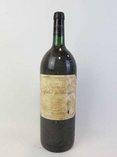 1 magnum CHATEAU TAFFARD DE BLAIGNAN, Médoc...