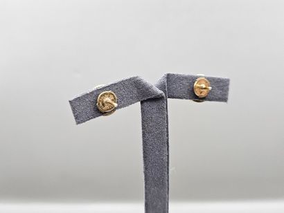 Paire de clous d'oreille cible en or jaune...