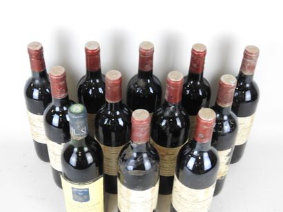 12 bouteilles : 11 bouteilles Chateau Branaire...