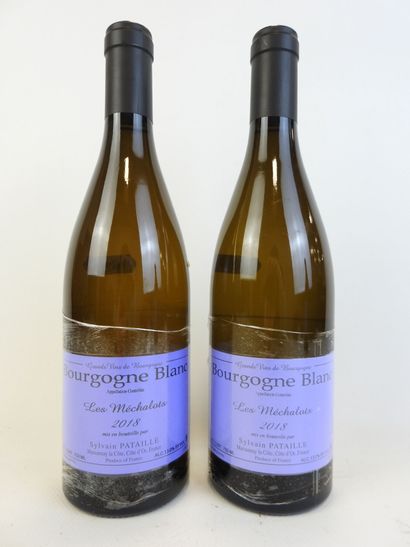 2 bouteilles BOURGOGNE BLANC, 2018, Les Mechalots,...