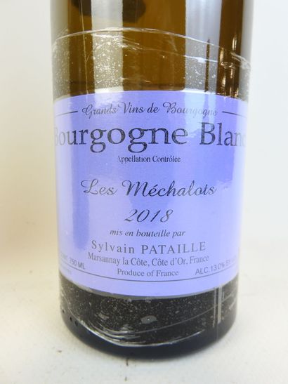 2 bouteilles BOURGOGNE BLANC, 2018, Les Mechalots,...