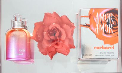 CACHAREL. Coffret de présentation 