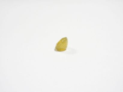 SAPHIR on leaf. 8.53 ct (treated).