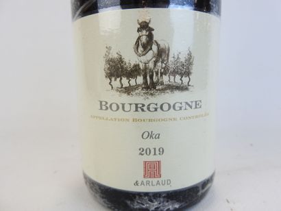 1 bouteille BOURGOGNE ROUGE OKA 2019, AR...