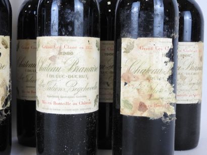 12 bouteilles : 11 bouteilles Chateau Branaire...