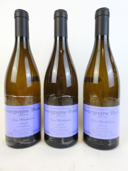 3 bouteilles BOURGOGNE BLANC, 2018, Les Mechalots,...