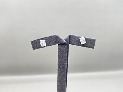 Paire de clous d'oreille en or gris 750 millièmes,...