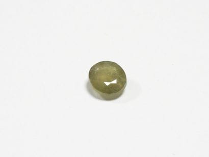 SAPHIR on leaf. 6.31 ct (treated).