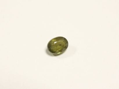 SAPHIR on leaf. 6.35 ct (treated).