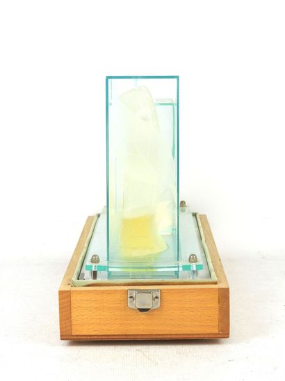 KENZO. Valise de présentation de parfums....